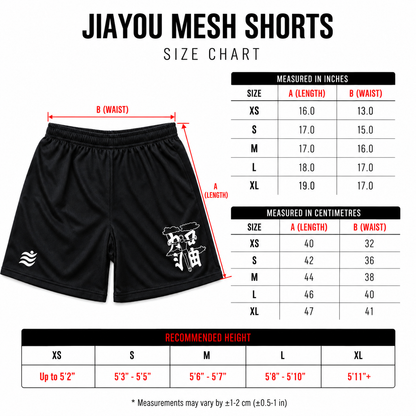 Jiayou Mesh Shorts